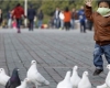 هشدار شیوع دوباره آنفلوآنزای فوق حاد پرندگان
