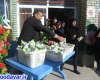 توزیع شیر رایگان درمدارس تویسرکان آغازشد