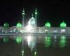 دعوت به سوى قائم آل محمد (عج)