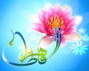 ۱۵۰برنامه فرهنگی به مناسبت میلاد حضرت زهرا (س) در نهاوند برگزار می‌شود