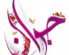 تدوین ۱۰۰ برنامه فرهنگی و مذهبی ویژه روز جوان در شهرستان تویسرکان