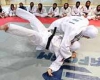  سه بانوی جودو کار همدانی به اردوی تیم ملی دعوت شدند