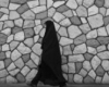 زنان چادری و وظیفه ای به نام خودنمایی!